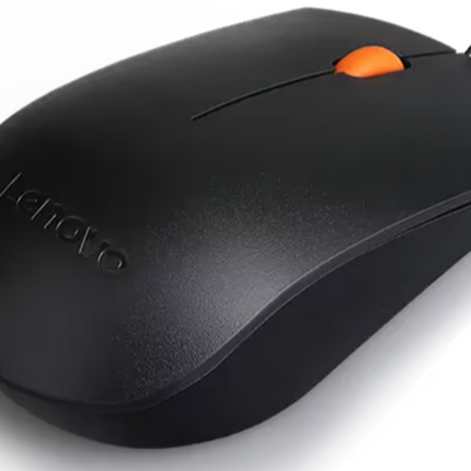 MICE_BO Lenovo 300 USB Mouse-3Y