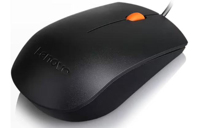 MICE_BO Lenovo 300 USB Mouse-3Y