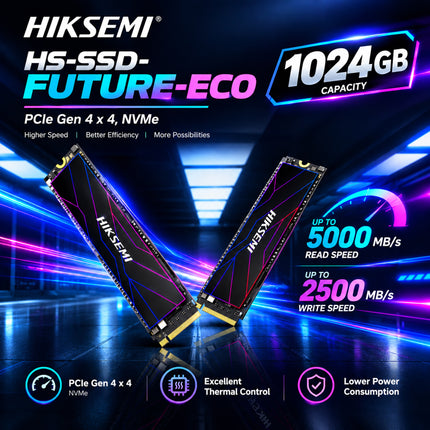 HS-SSD-FUTURE ECO 1024G