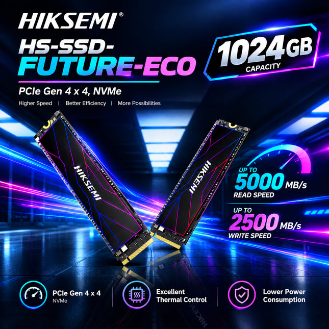 HS-SSD-FUTURE ECO 1024G