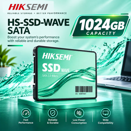 HS-SSD-WAVE SATA1024G -3Y