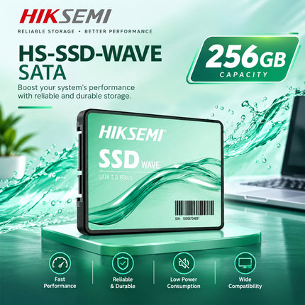 HS-SSD-WAVE SATA 256GB -3Y