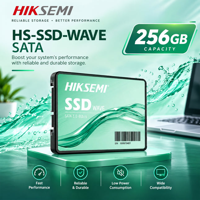 HS-SSD-WAVE SATA 256GB -3Y